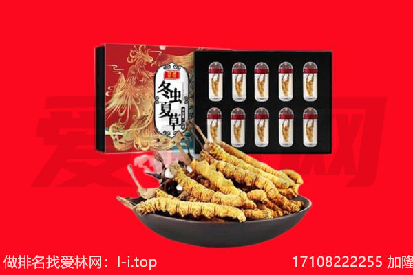 宜昌市远安回收虫草.jpg